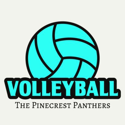 Volleyball 37 Miniatura