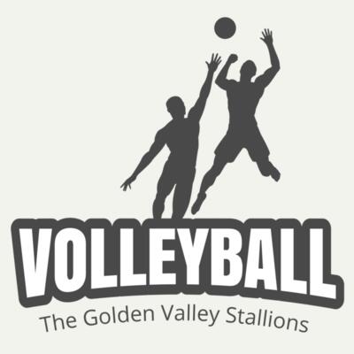 Volleyball 39 Miniatura