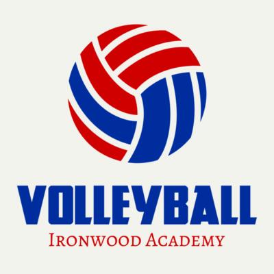 Volleyball 42 Miniatura